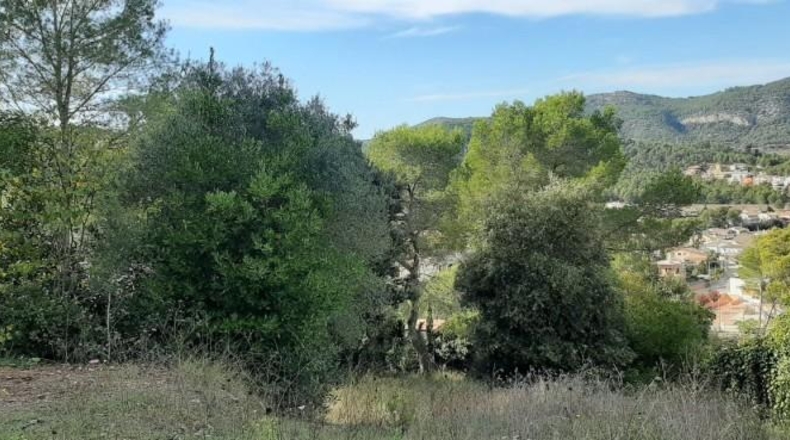 Barcelona - Canyelles - 745m2
