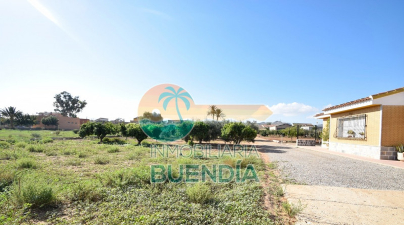 Múrcia - Fuente Álamo de Murcia - 1092m2