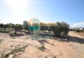 Parcel·la urbanitzable en venda a la España, Fuente Álamo, ref.: TR117528 foto