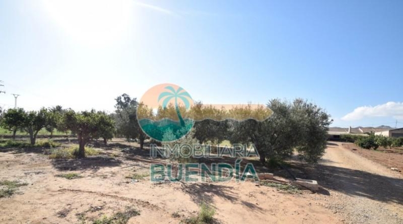 Múrcia - Fuente Álamo de Murcia - 1092m2