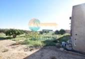 Parcel·la urbanitzable en venda a la España, Fuente Álamo, ref.: TR117528 foto