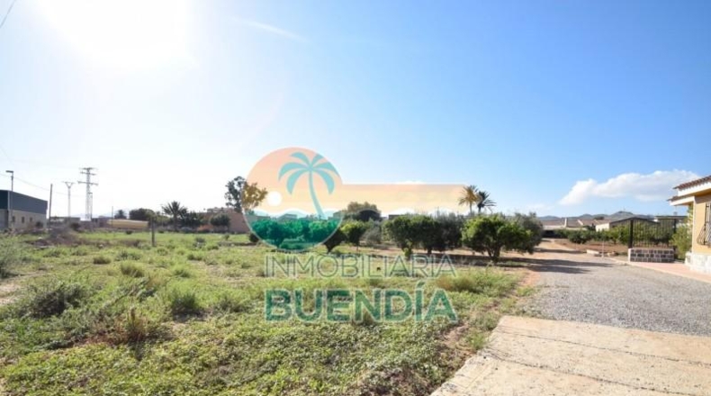 Múrcia - Fuente Álamo de Murcia - 1092m2