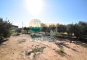 Parcel·la urbanitzable en venda a la España, Fuente Álamo, ref.: TR117528 foto
