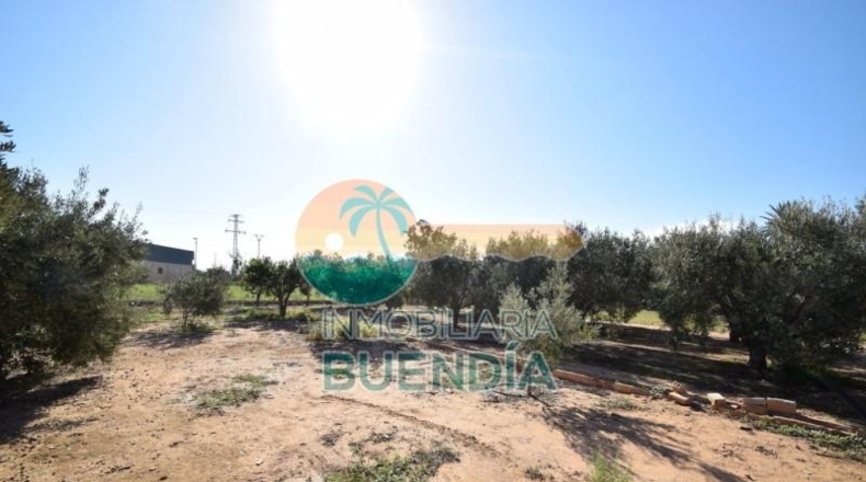 Múrcia - Fuente Álamo de Murcia - 1092m2