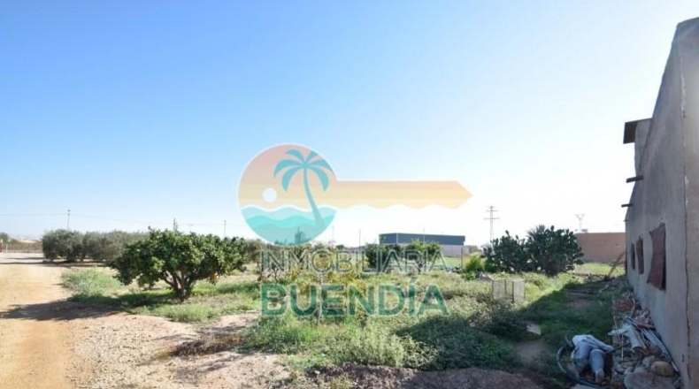 Múrcia - Fuente Álamo de Murcia - 1092m2