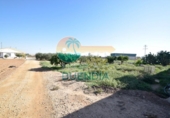 Parcel·la urbanitzable en venda a la España, Fuente Álamo, ref.: TR117528 foto