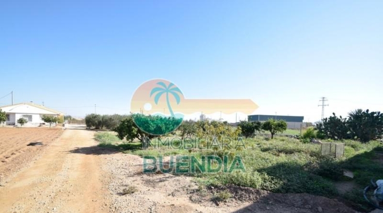 Múrcia - Fuente Álamo de Murcia - 1092m2