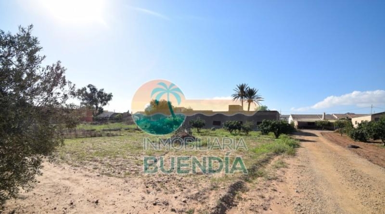Múrcia - Fuente Álamo de Murcia - 1092m2
