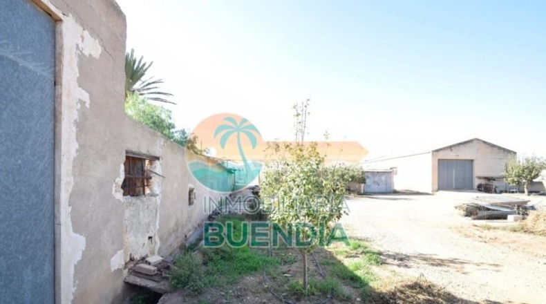 Múrcia - Fuente Álamo de Murcia - 1092m2