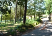 Land suitable for development for sale on España, Gondomar, ref: TR115079 photo