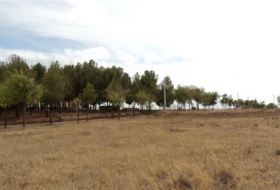 Villafranca de los Caballeros 15400&nbsp;m² 