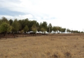 Non-developable land for sale on España, Villafranca de los Caballeros, ref: TR115525 photo