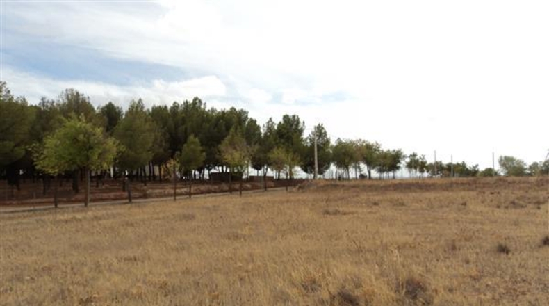 Toledo - Villafranca de los Caballeros - 15400m2