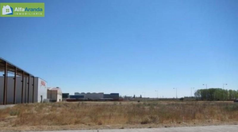 Burgos - Aranda de Duero - 1000m2