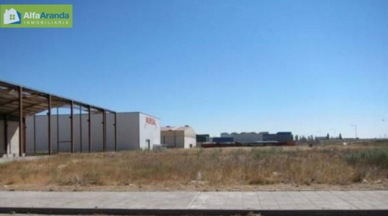 Burgos - Aranda de Duero - 1000m2