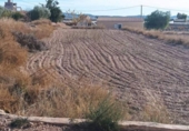 House with land for sale on España, Novelda, ref: TR296129 photo