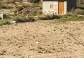 House with land for sale on España, Novelda, ref: TR296129 photo