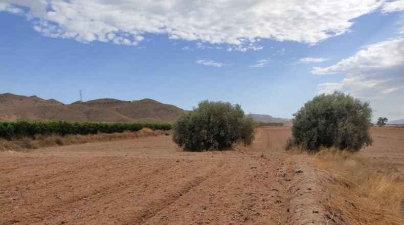 Múrcia - Lorca - 17000m2