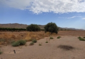 Non-developable land for sale on España, Lorca, ref: TR119359 photo