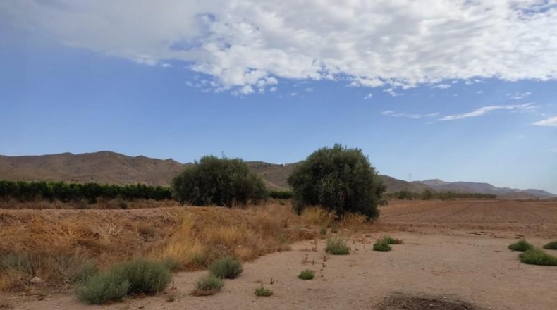 Múrcia - Lorca - 17000m2