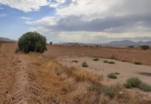 Non-developable land for sale on España, Lorca, ref: TR119359 photo