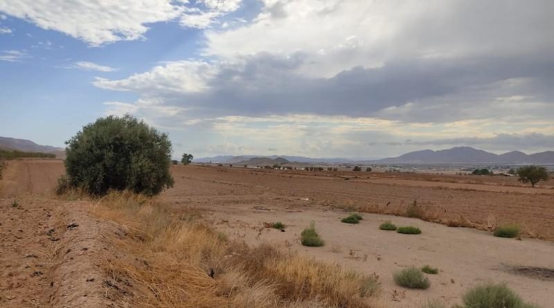 Múrcia - Lorca - 17000m2