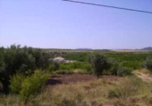 Terreny no urbanitzable en venda a la España, Calasparra, ref.: TR119420 foto