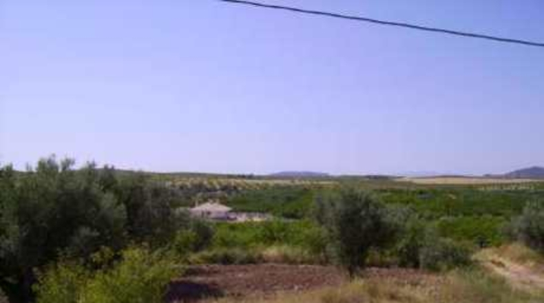 Múrcia - Calasparra - 4740m2