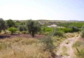 Terreny no urbanitzable en venda a la España, Calasparra, ref.: TR119420 foto