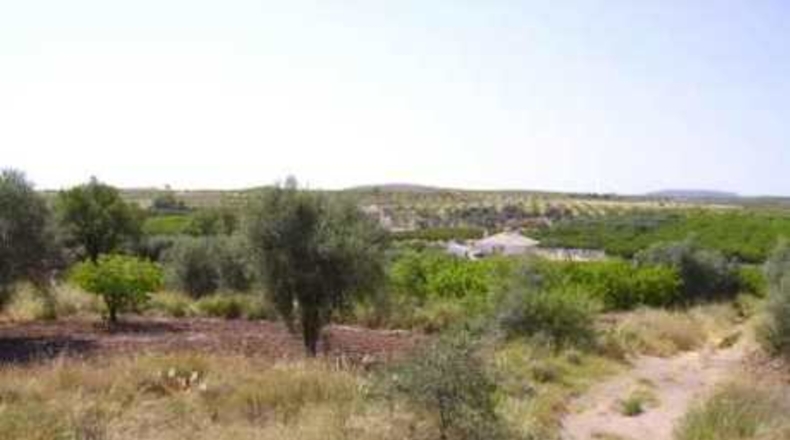 Múrcia - Calasparra - 4740m2