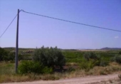 Terreny no urbanitzable en venda a la España, Calasparra, ref.: TR119420 foto