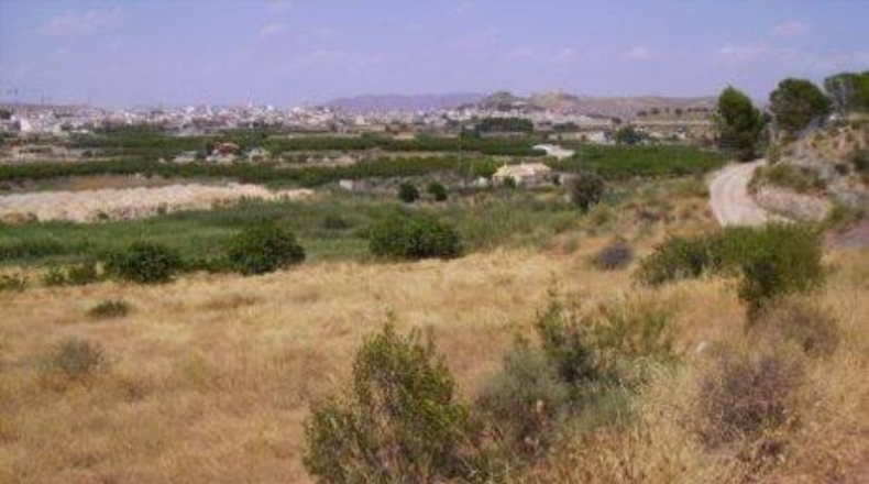 Múrcia - Calasparra - 5000m2