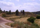 Terreny no urbanitzable en venda a la España, Calasparra, ref.: TR119433 foto