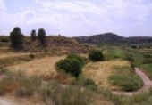 Terreny no urbanitzable en venda a la España, Calasparra, ref.: TR119433 foto