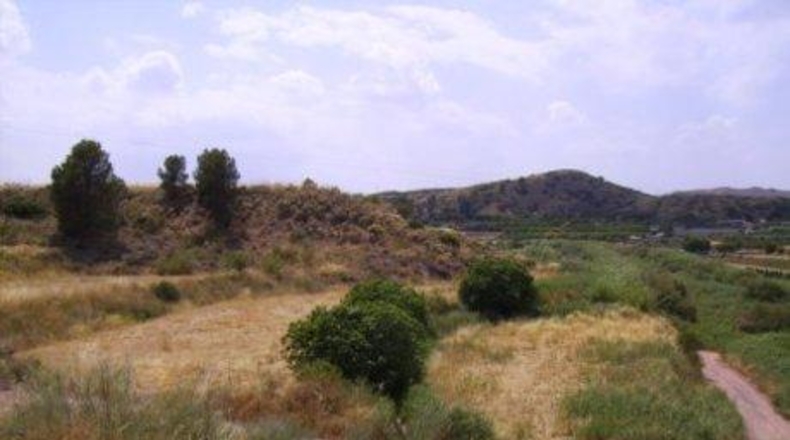 Múrcia - Calasparra - 5000m2