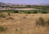 Terreny no urbanitzable en venda a la España, Calasparra, ref.: TR119433 foto