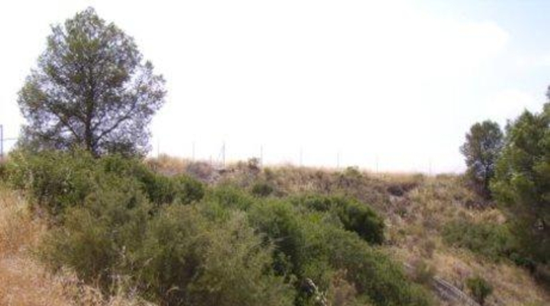 Múrcia - Calasparra - 5000m2
