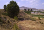 Terreny no urbanitzable en venda a la España, Calasparra, ref.: TR119433 foto