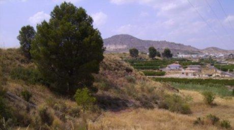 Múrcia - Calasparra - 5000m2