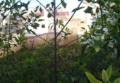 Sòl urbà en venda a la España, Calasparra, ref.: TR119478 foto