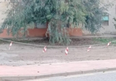 Sòl urbà en venda a la España, Múrcia, ref.: TR362265 foto