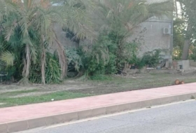 Murcia 720&nbsp;m²