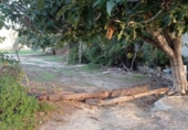 Sòl urbà en venda a la España, Múrcia, ref.: TR362265 foto