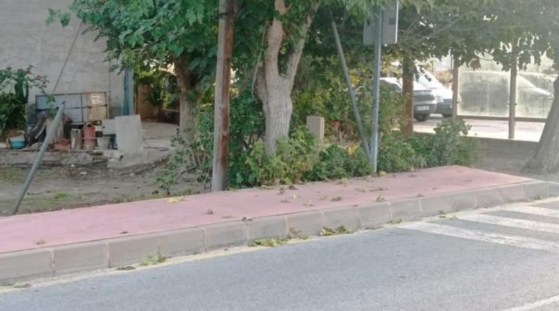 Murcia - Мурсия - 720m2