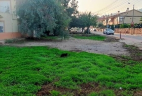 Murcia 720&nbsp;m²