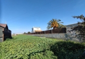Terreny no urbanitzable en venda a la España, Sanlúcar de Barrameda, ref.: TR229142 foto