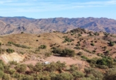 Terreno no urbanizable en venta en la España, Almogía, ref: TR369009 foto