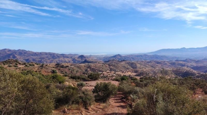 Málaga - Almogía - 25304m2