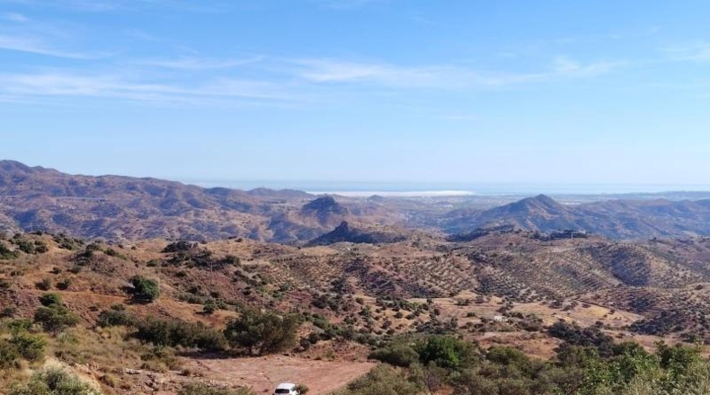 Málaga - Almogía - 25304m2