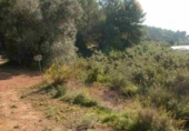 Non-developable land for sale on España, Callosa d'en Sarrià, ref: TR380890 photo